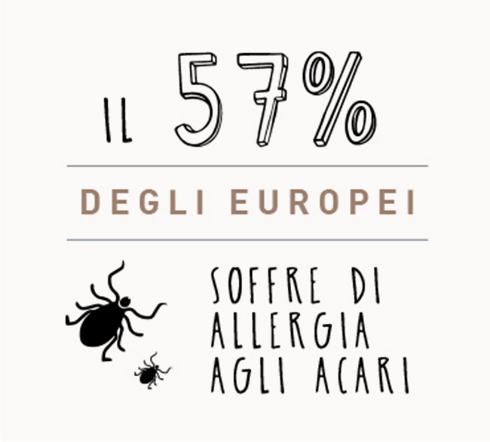 Acari della polvere: cosa fare per dormire bene la stanza perdormire Combattere acari della polvere