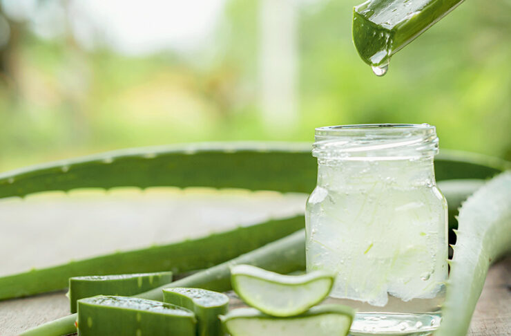 Materasso in aloe vera: tutti i benefici