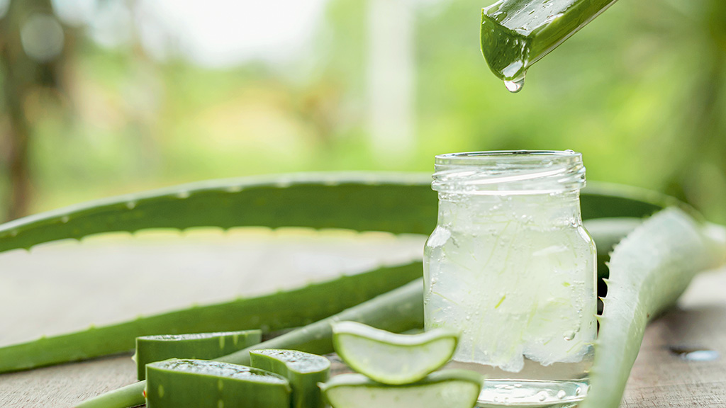 Materasso in aloe vera: tutti i benefici