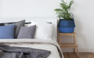piante da interno per la camera da letto
