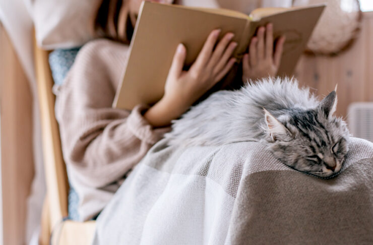 Che significa quando un gatto ti dorme addosso?