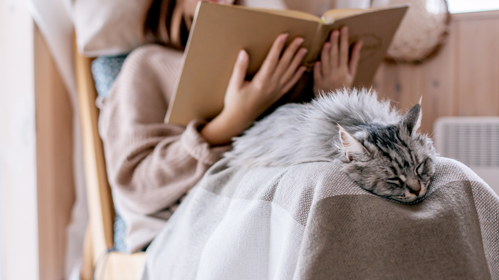 quando-un-gatto-ti-dorme-addosso Che significa quando un gatto ti dorme addosso?